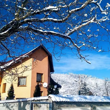 Guest house Vila Alexandra