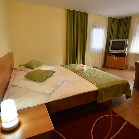 Guest house Vila Alexandra