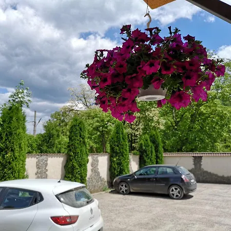 Vila Alexandra Guest house Sacele
